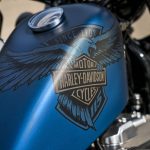 H-D Forty-Eight_3_vyrocni