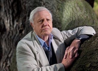 Máj patrí na TV Spektrum legende menom David Attenborough