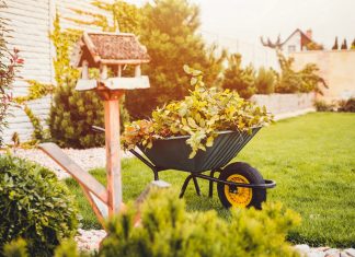 Objavte kúzlo jesennej záhrady aj u vás doma