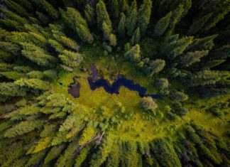 Udržateľnosť je kľúčová. Toto sú 4 spôsoby, ako môžu veľké firmy inšpirovať svojim prístupom