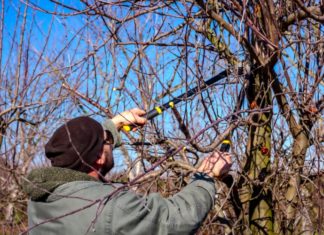 Zimný rez už ďalej nepočká!