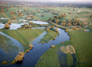 Rieka Morava a jej záplavové lúky sú výnimočné. Chystá sa obnova pôvodných brehov a meandrov.