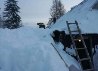 Snehová kalamita trápi najmä sever Slovenska. Allianz – SP eviduje vyše 600 škôd