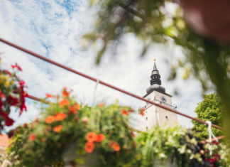 Májový kvet od štvrtka zaplní námestie v Trnave