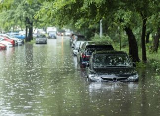 Klienti Allianz od víkendu nahlasujú škody po veternej smršti, najviac zo severu Slovenska