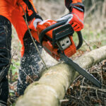 AdobeStock_783677061