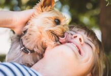 Dať či nedať kastrovať svojho domáceho miláčika?